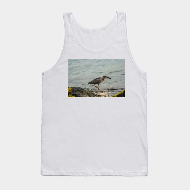 Black-crowned night heron of hawaii 9 Tank Top by KensLensDesigns